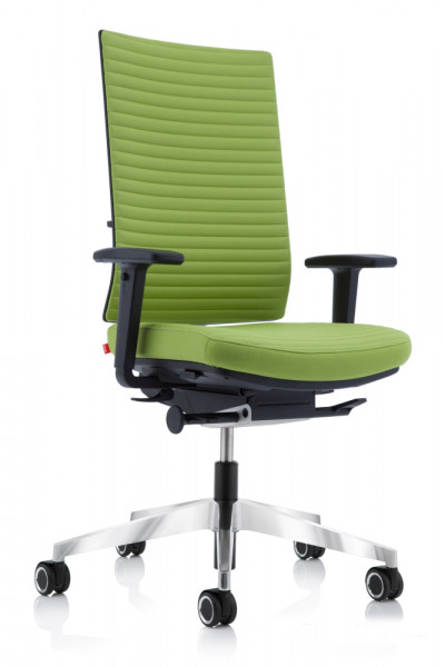 Köhl Anteo UP mit Tube -PolsterT5 Sitz grün Lehne grün Fuss poliert von rechts Büro-Ideen